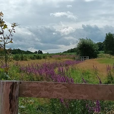 E Berry Farm - Slow Life Home Olszyna  Exterior foto