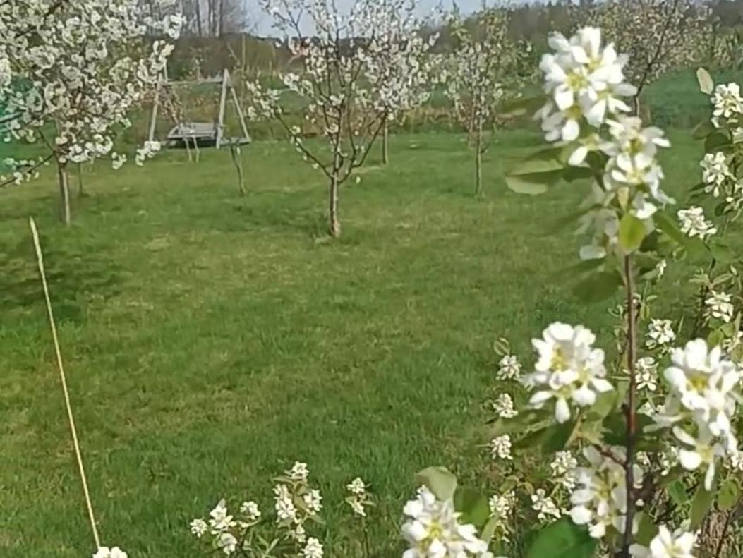 E Berry Farm - Slow Life Home Olszyna  Exterior foto