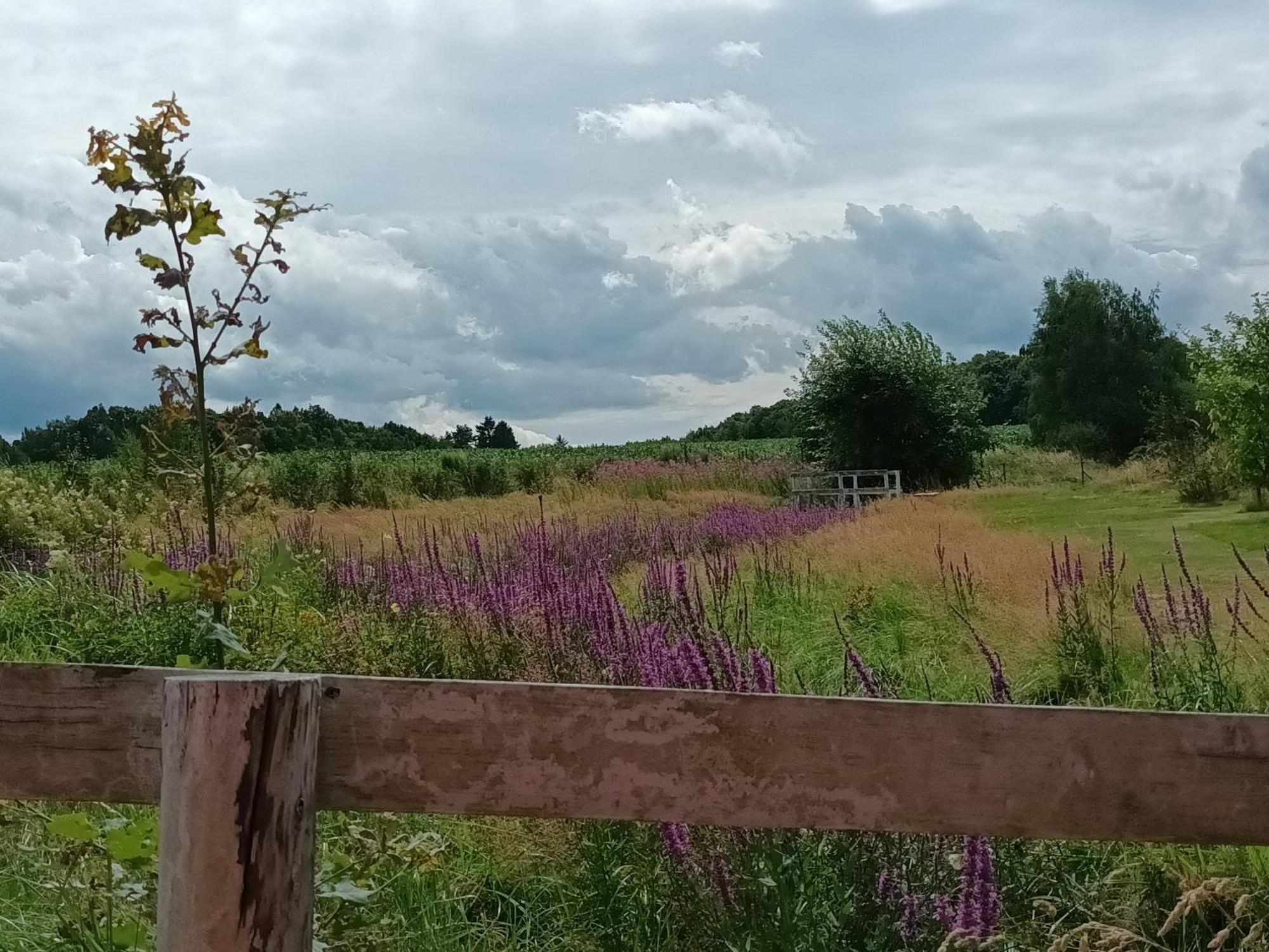 E Berry Farm - Slow Life Home Olszyna  Exterior foto